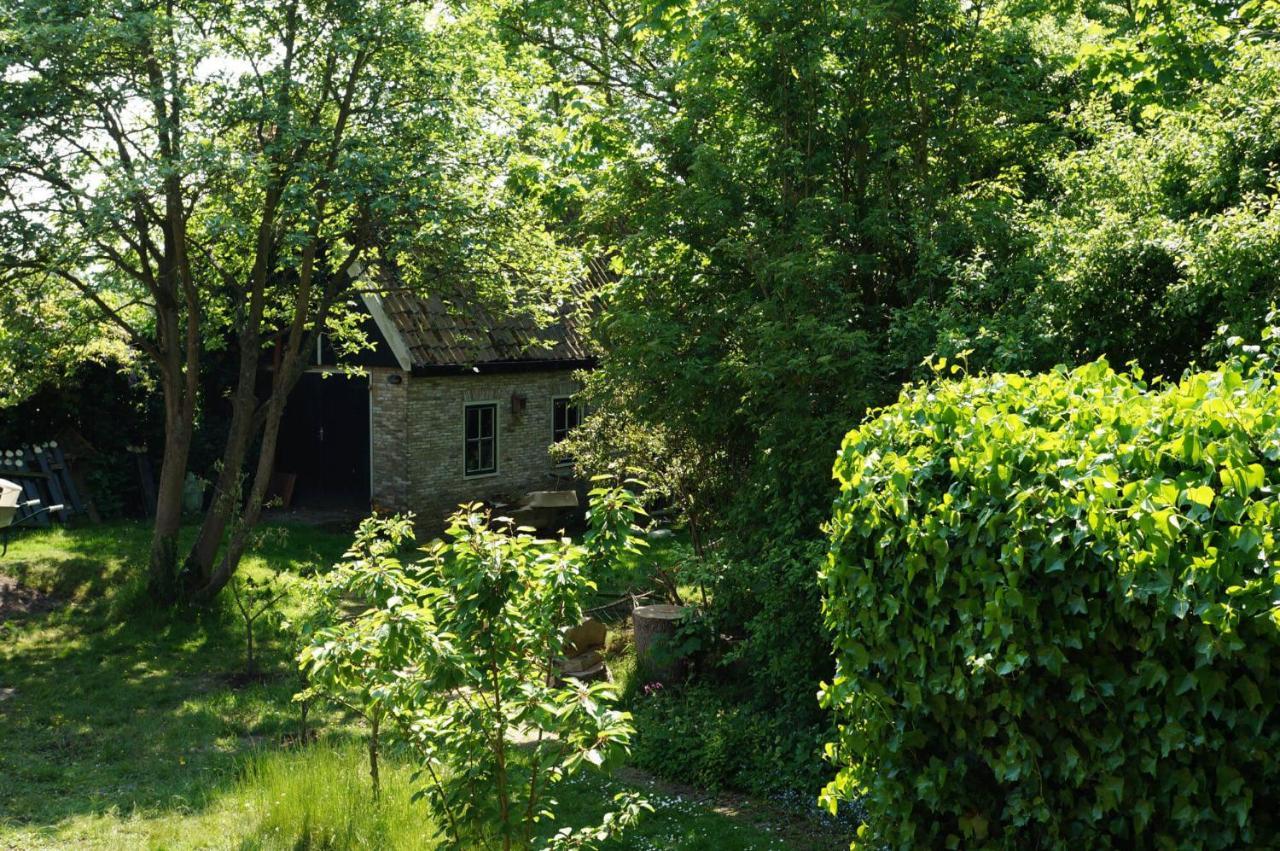 Pastorie De Waal Bed and Breakfast Εξωτερικό φωτογραφία